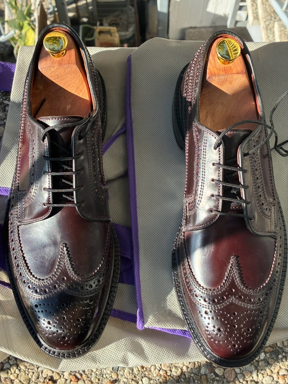 Allen Edmonds MacNeil 2.0: Shell cordovan with JR double-soles (9 1/2 D)